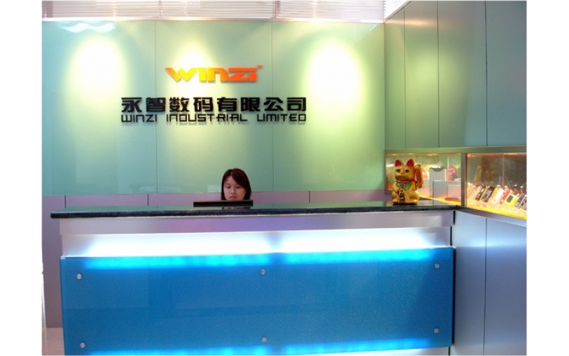 公司組織結(jié)構(gòu)圖，深圳市模具廠的最初結(jié)構(gòu)