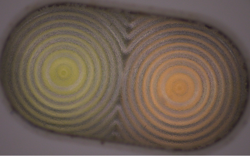 深圳市模具廠-深模-二次元下的手機閃光燈罩