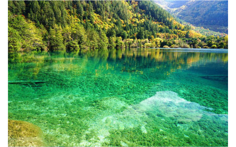 深模公司企業(yè)文化- “  和而不同 “